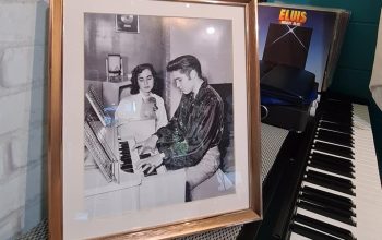 300402310_118338474295415_5883897936537118500_n